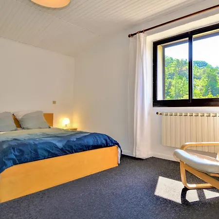 Hébergement de vacances Pet Friendly In *